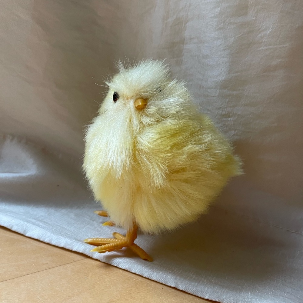 Decorative Chick; Fluffy Chick; Easter; Spring